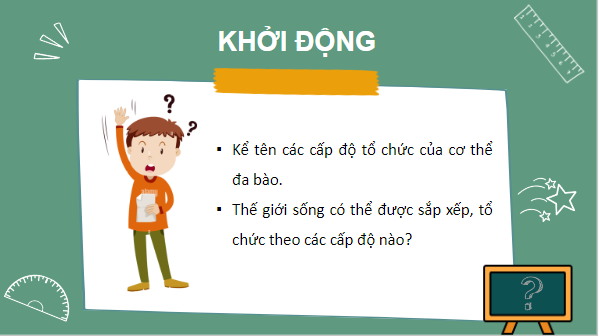 Giáo án điện tử Sinh 10 Cánh diều Bài 3: Giới thiệu chung về các cấp độ tổ chức của thế giới sống | PPT Sinh học 10