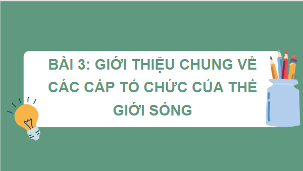 Giáo án điện tử Sinh 10 Cánh diều Bài 3: Giới thiệu chung về các cấp độ tổ chức của thế giới sống | PPT Sinh học 10