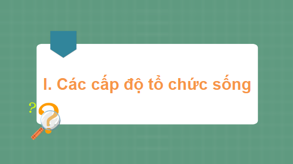 Giáo án điện tử Sinh 10 Cánh diều Bài 3: Giới thiệu chung về các cấp độ tổ chức của thế giới sống | PPT Sinh học 10