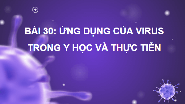 Giáo án điện tử Sinh 10 Chân trời sáng tạo Bài 30: Ứng dụng của virus trong y học và thực tiễn | PPT Sinh học 10