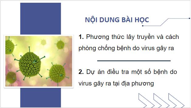 Giáo án điện tử Sinh 10 Chân trời sáng tạo Bài 31: Virus gây bệnh | PPT Sinh học 10