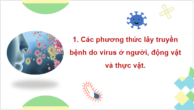 Giáo án điện tử Sinh 10 Chân trời sáng tạo Bài 31: Virus gây bệnh | PPT Sinh học 10