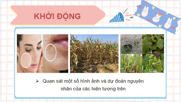 Giáo án điện tử Sinh 10 Kết nối tri thức Bài 4: Các nguyên tố hóa học và nước | PPT Sinh học 10