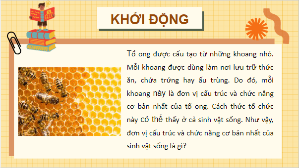 Giáo án điện tử Sinh 10 Cánh diều Bài 4: Khái quát về tế bào | PPT Sinh học 10