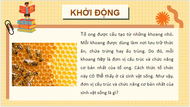 Giáo án điện tử Sinh 10 Chân trời sáng tạo Bài 4: Khái quát về tế bào | PPT Sinh học 10