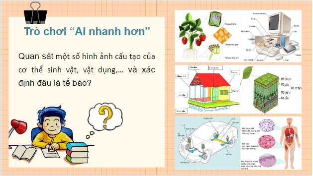 Giáo án điện tử Sinh 10 Chân trời sáng tạo Bài 4: Khái quát về tế bào | PPT Sinh học 10