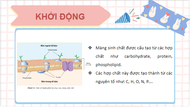 Giáo án điện tử Sinh 10 Cánh diều Bài 5: Các nguyên tố hóa học và nước | PPT Sinh học 10