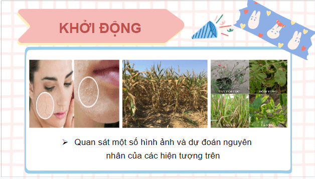 Giáo án điện tử Sinh 10 Chân trời sáng tạo Bài 5: Các nguyên tố hóa học và nước | PPT Sinh học 10