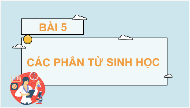 Giáo án điện tử Sinh 10 Kết nối tri thức Bài 5: Các phân tử sinh học | PPT Sinh học 10