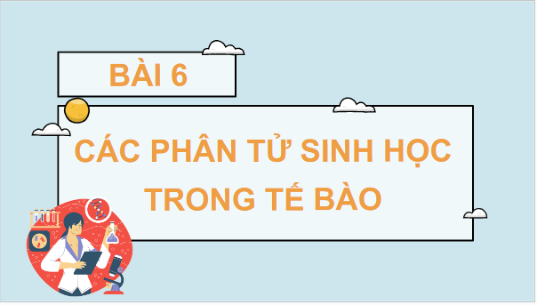 Giáo án điện tử Sinh 10 Cánh diều Bài 6: Các phân tử sinh học | PPT Sinh học 10