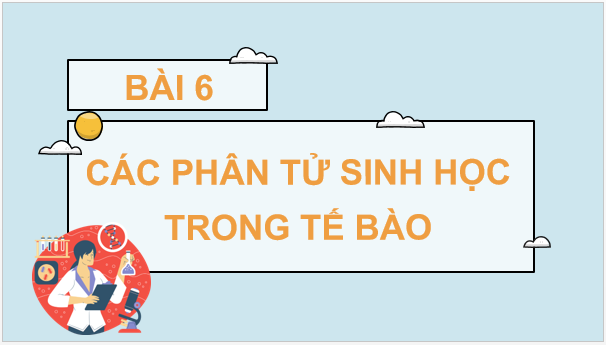 Giáo án điện tử Sinh 10 Chân trời sáng tạo Bài 6: Các phân tử sinh học trong tế bào | PPT Sinh học 10