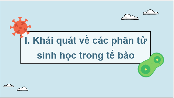 Giáo án điện tử Sinh 10 Chân trời sáng tạo Bài 6: Các phân tử sinh học trong tế bào | PPT Sinh học 10