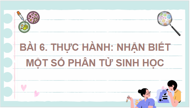 Giáo án điện tử Sinh 10 Kết nối tri thức Bài 6: Thực hành nhận biết một số phân tử sinh học | PPT Sinh học 10