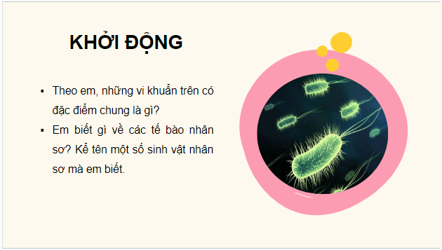 Giáo án điện tử Sinh 10 Kết nối tri thức Bài 7: Tế bào nhân sơ | PPT Sinh học 10