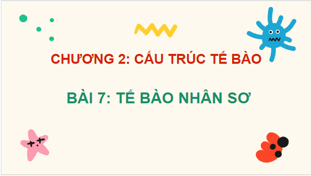 Giáo án điện tử Sinh 10 Kết nối tri thức Bài 7: Tế bào nhân sơ | PPT Sinh học 10