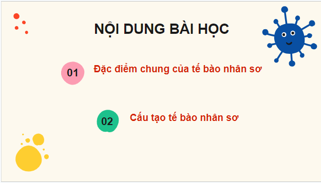 Giáo án điện tử Sinh 10 Kết nối tri thức Bài 7: Tế bào nhân sơ | PPT Sinh học 10