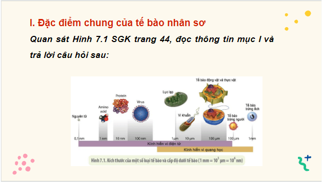 Giáo án điện tử Sinh 10 Kết nối tri thức Bài 7: Tế bào nhân sơ | PPT Sinh học 10