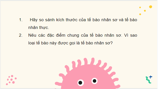 Giáo án điện tử Sinh 10 Kết nối tri thức Bài 7: Tế bào nhân sơ | PPT Sinh học 10