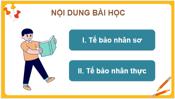 Giáo án điện tử Sinh 10 Cánh diều Bài 7: Tế bào nhân sơ và tế bào nhân thực | PPT Sinh học 10