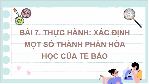 Giáo án điện tử Sinh 10 Chân trời sáng tạo Bài 7: Thực hành: Xác định một số thành phần hóa học của tế bào | PPT Sinh học 10