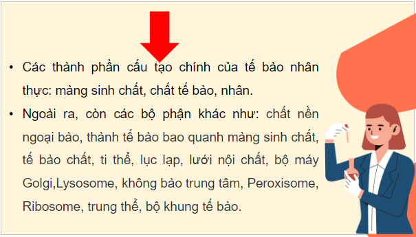 Giáo án điện tử Sinh 10 Cánh diều Bài 8: Cấu trúc của tế bào nhân thực | PPT Sinh học 10