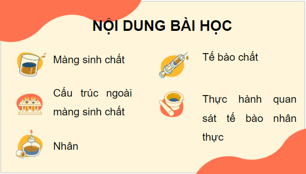 Giáo án điện tử Sinh 10 Cánh diều Bài 8: Cấu trúc của tế bào nhân thực | PPT Sinh học 10