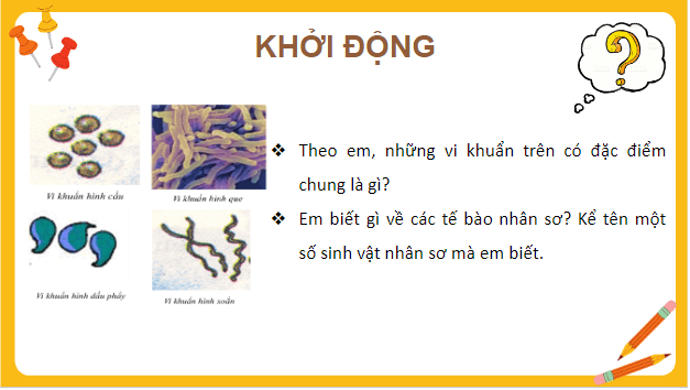 Giáo án điện tử Sinh 10 Chân trời sáng tạo Bài 8: Tế bào nhân sơ | PPT Sinh học 10