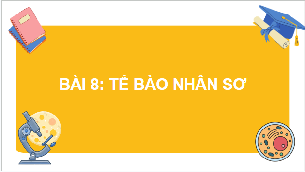 Giáo án điện tử Sinh 10 Chân trời sáng tạo Bài 8: Tế bào nhân sơ | PPT Sinh học 10