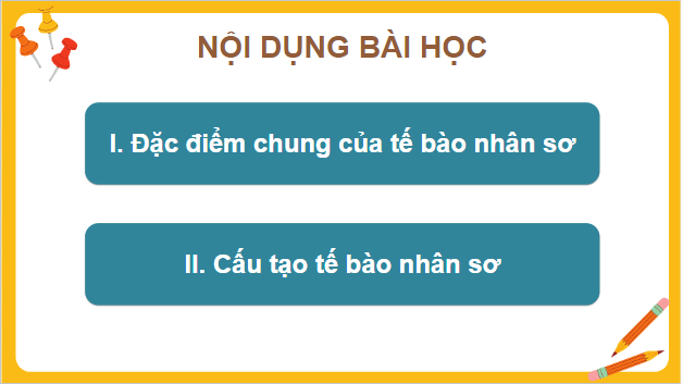 Giáo án điện tử Sinh 10 Chân trời sáng tạo Bài 8: Tế bào nhân sơ | PPT Sinh học 10