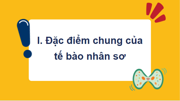 Giáo án điện tử Sinh 10 Chân trời sáng tạo Bài 8: Tế bào nhân sơ | PPT Sinh học 10