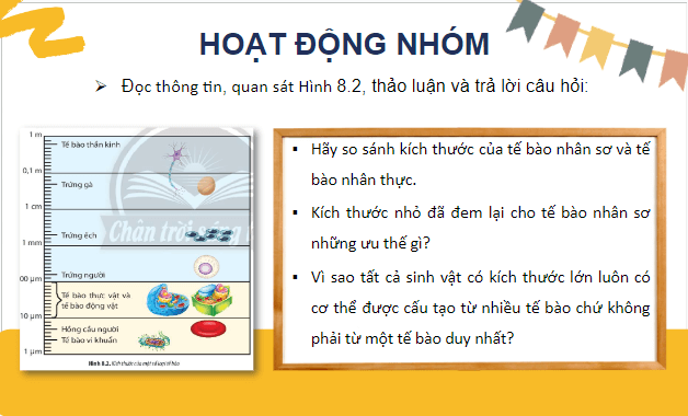 Giáo án điện tử Sinh 10 Chân trời sáng tạo Bài 8: Tế bào nhân sơ | PPT Sinh học 10