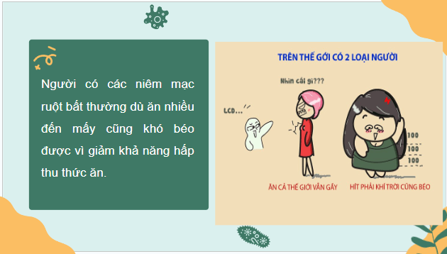 Giáo án điện tử Sinh 10 Kết nối tri thức Bài 8: Tế bào nhân thực | PPT Sinh học 10