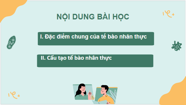 Giáo án điện tử Sinh 10 Kết nối tri thức Bài 8: Tế bào nhân thực | PPT Sinh học 10