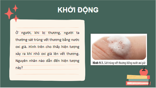 Giáo án điện tử Sinh 10 Chân trời sáng tạo Bài 9: Tế bào nhân thực | PPT Sinh học 10