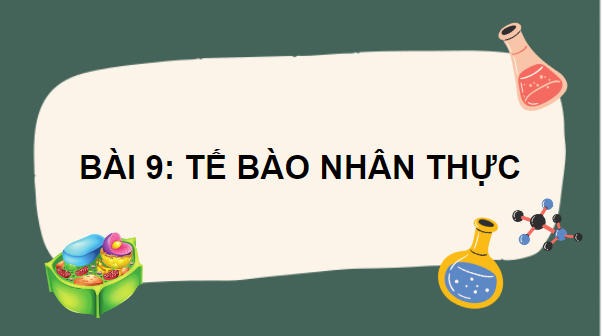 Giáo án điện tử Sinh 10 Chân trời sáng tạo Bài 9: Tế bào nhân thực | PPT Sinh học 10