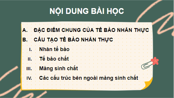 Giáo án điện tử Sinh 10 Chân trời sáng tạo Bài 9: Tế bào nhân thực | PPT Sinh học 10