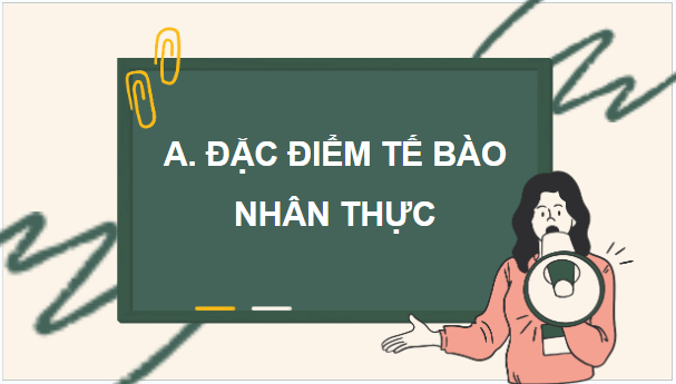 Giáo án điện tử Sinh 10 Chân trời sáng tạo Bài 9: Tế bào nhân thực | PPT Sinh học 10