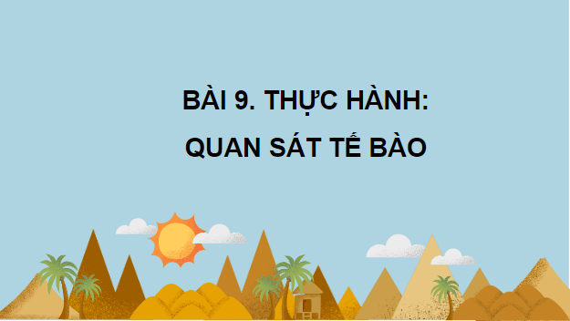 Giáo án điện tử Sinh 10 Kết nối tri thức Bài 9: Thực hành quan sát tế bào | PPT Sinh học 10