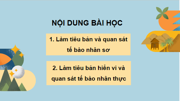 Giáo án điện tử Sinh 10 Kết nối tri thức Bài 9: Thực hành quan sát tế bào | PPT Sinh học 10