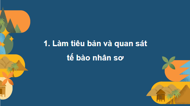 Giáo án điện tử Sinh 10 Kết nối tri thức Bài 9: Thực hành quan sát tế bào | PPT Sinh học 10