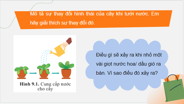 Giáo án điện tử Sinh 10 Cánh diều Bài 9: Trao đổi chất qua màng sinh chất | PPT Sinh học 10