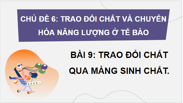 Giáo án điện tử Sinh 10 Cánh diều Bài 9: Trao đổi chất qua màng sinh chất | PPT Sinh học 10