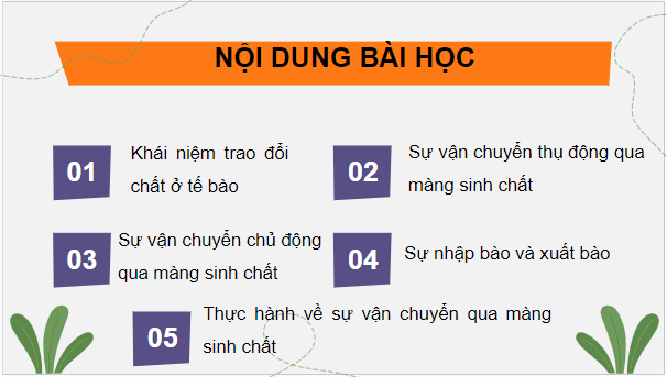 Giáo án điện tử Sinh 10 Cánh diều Bài 9: Trao đổi chất qua màng sinh chất | PPT Sinh học 10