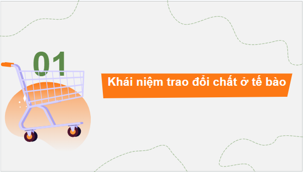 Giáo án điện tử Sinh 10 Cánh diều Bài 9: Trao đổi chất qua màng sinh chất | PPT Sinh học 10