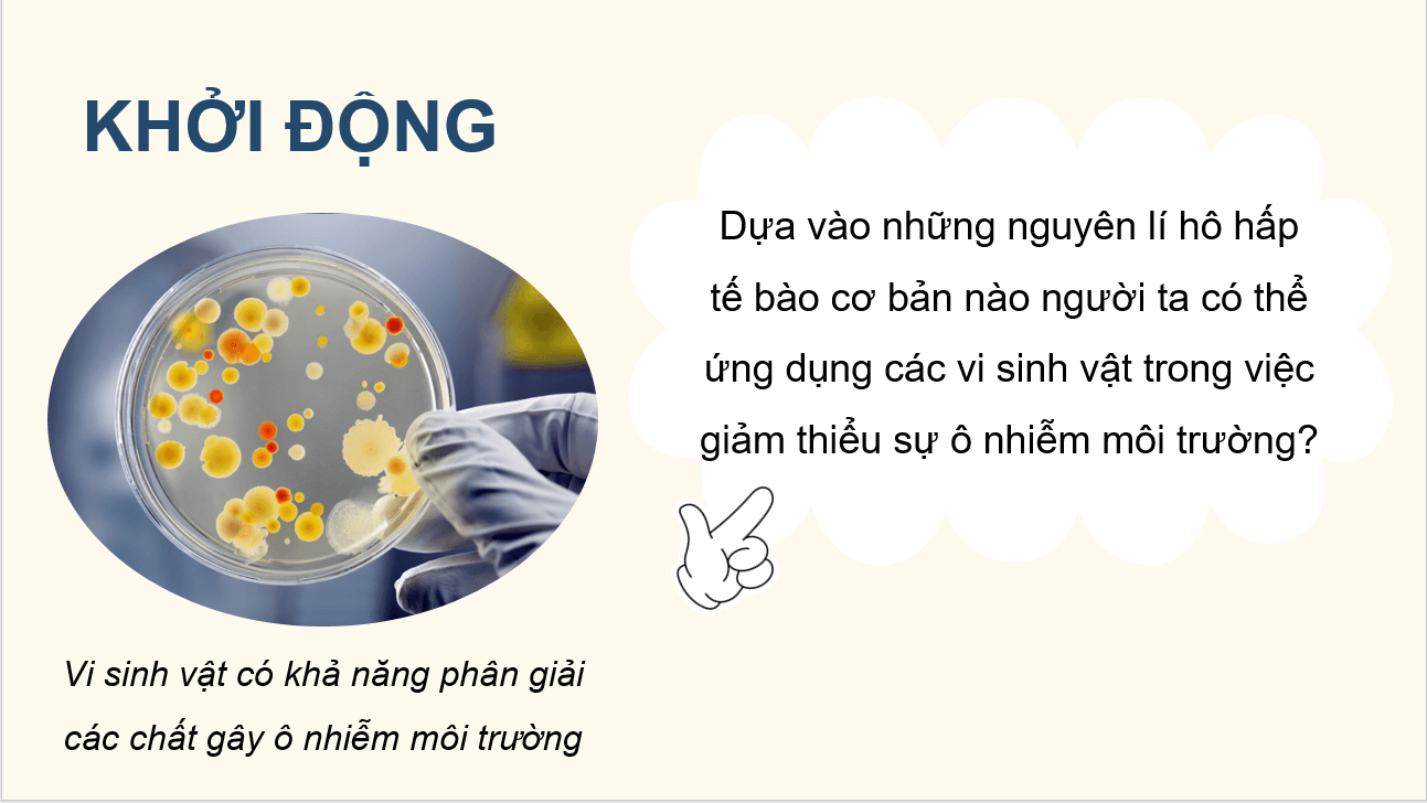 Giáo án điện tử Chuyên đề Sinh 10 Kết nối tri thức Giáo án điện tử Bài 10: Vi sinh vật trong phân giải các hợp chất làm ô nhiễm môi trường | PPT Chuyên đề Sinh học 10