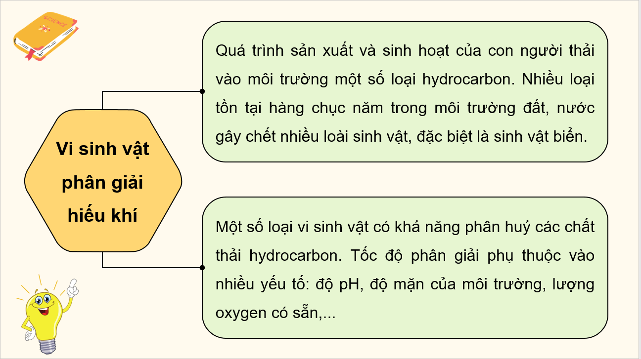 Giáo án điện tử Chuyên đề Sinh 10 Kết nối tri thức Giáo án điện tử Bài 10: Vi sinh vật trong phân giải các hợp chất làm ô nhiễm môi trường | PPT Chuyên đề Sinh học 10
