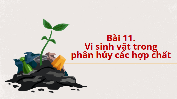 Giáo án điện tử Chuyên đề Sinh 10 Chân trời sáng tạo Bài 11: Vi sinh vật trong phân hủy các hợp chất | PPT Chuyên đề Sinh học 10
