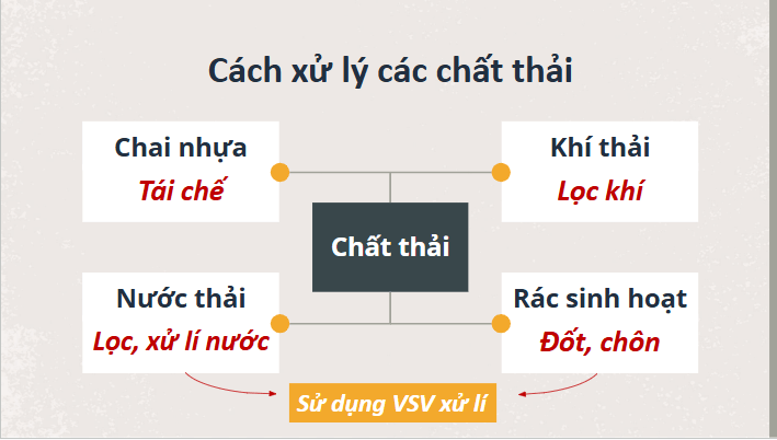 Giáo án điện tử Chuyên đề Sinh 10 Chân trời sáng tạo Bài 11: Vi sinh vật trong phân hủy các hợp chất | PPT Chuyên đề Sinh học 10