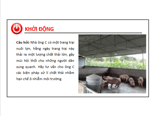 Giáo án điện tử Chuyên đề Sinh 10 Chân trời sáng tạo Bài 13: Dự án: Tìm hiểu về một số thành tựu ứng dụng công nghệ vi sinh vật | PPT Chuyên đề Sinh học 10
