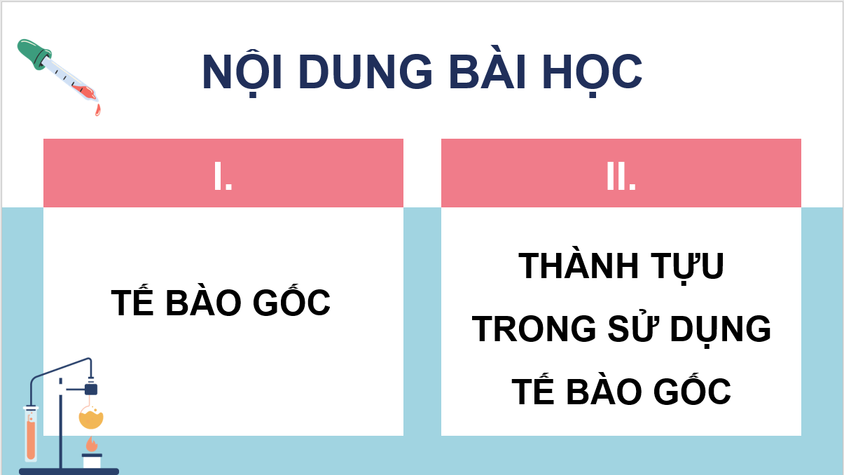 Giáo án điện tử Chuyên đề Sinh 10 Kết nối tri thức Giáo án điện tử Bài 2: Tế bào gốc và một số thành tựu | PPT Chuyên đề Sinh học 10
